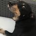 Michel Kupper - Facebook