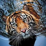 Michael Kurzen - @michaelkurzen - Instagram