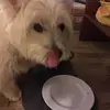 Michael Kusmirek - @michael.kusmirek - TikTok