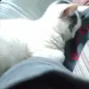 michaelkusak - @michaelkusak - TikTok