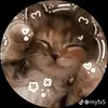 Mišak - @michaelkus - TikTok