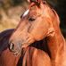 Michael Kusch - Facebook