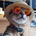 Michael Kuziakin - @michael_kuziakin - Instagram