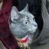Michael - @michael_kuzio - TikTok