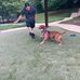 Michael Kyle - Facebook