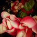 Michael Kyle - Facebook