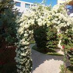 Michael Kyriacou Gardens - @michaelkyriacougardens - Instagram