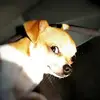 michaelkyriacouko - @michaelkyriacouko - TikTok