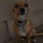 Michael  Labbe - @_mike_0982 - Instagram