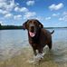 Michael Laden - Facebook