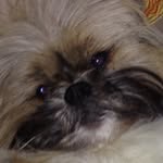 Michael - @michael.laffan09 - Instagram