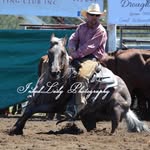 Michael Laffan | Equine Services - @michaellaffanequineservices - Instagram