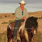 Michael Laffan EquineServices - @michaellaffan - Instagram