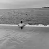 michael lager - @michael.lager - TikTok