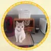Michael Delagrange - @michaeldelagrange5 - TikTok