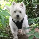 Michael Laker - @michael_laker_ - Instagram