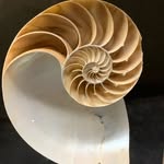 Michael Lala - @11mylieko33 - Instagram