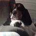 Mike LaMagna - Facebook
