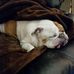 Mike Lamphier - Facebook