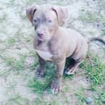 michael lampkin - @michaellampki - Instagram
