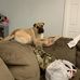 Michael Lance - Facebook