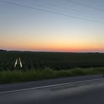 Michael Landen McKinney - @landenirl - Instagram