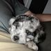 Michael Lanham - Facebook