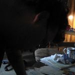 Michael Lanham - @michael.lanham.714 - Instagram