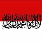 محمد كيلاني - @michaellani - Instagram