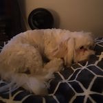 Michael Lani - @michael.lani.9216 - Instagram