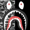 michael lanier - @michael.lanier - TikTok