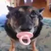 Michael lanier - @michael_lanier2715 - TikTok