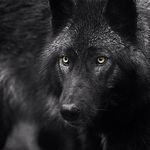 Michael Lanier - @michael.lanier.165 - Instagram