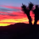 Michael Lanning - @michaelslanning - Instagram