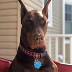Michael Lantz - @mlantz2864 - Instagram