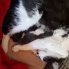 Michael Lappel - @michael.lappel - TikTok
