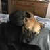 Michael Lary - Facebook