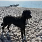 Michael Laske - @michael.laske.773 - Instagram
