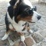 Michaël Lasseret - @michaellasseret - Instagram