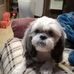 Michael Laub - Facebook