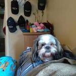 Michael Laub - @michael.laub.583 - Instagram