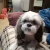 Michael Laub - @michael.laub - TikTok