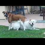 Michael Lauber - @michael.lauber.372 - Instagram