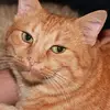 michaellaub82 - @as.foretold - TikTok