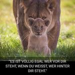Michaela Lauinger - @lauingermichaela - Instagram