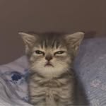 Michael Laurel - @_mayykellll - Instagram