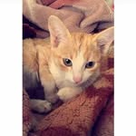 Michael laurel Hernandez - @micheal.hernandez00 - Instagram