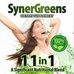Synergerens By : Michael John A. Laurel - Facebook