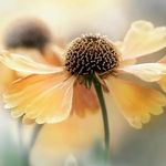 Michael laurenti - @laurenti6599 - Instagram