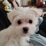 Michael Layman - @malayman1121 - Instagram